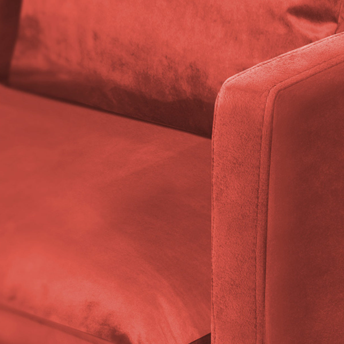 Fauteuil - Velours - SPLENDIDO