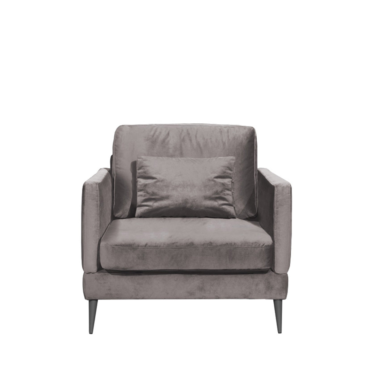 Fauteuil - Velours - SPLENDIDO