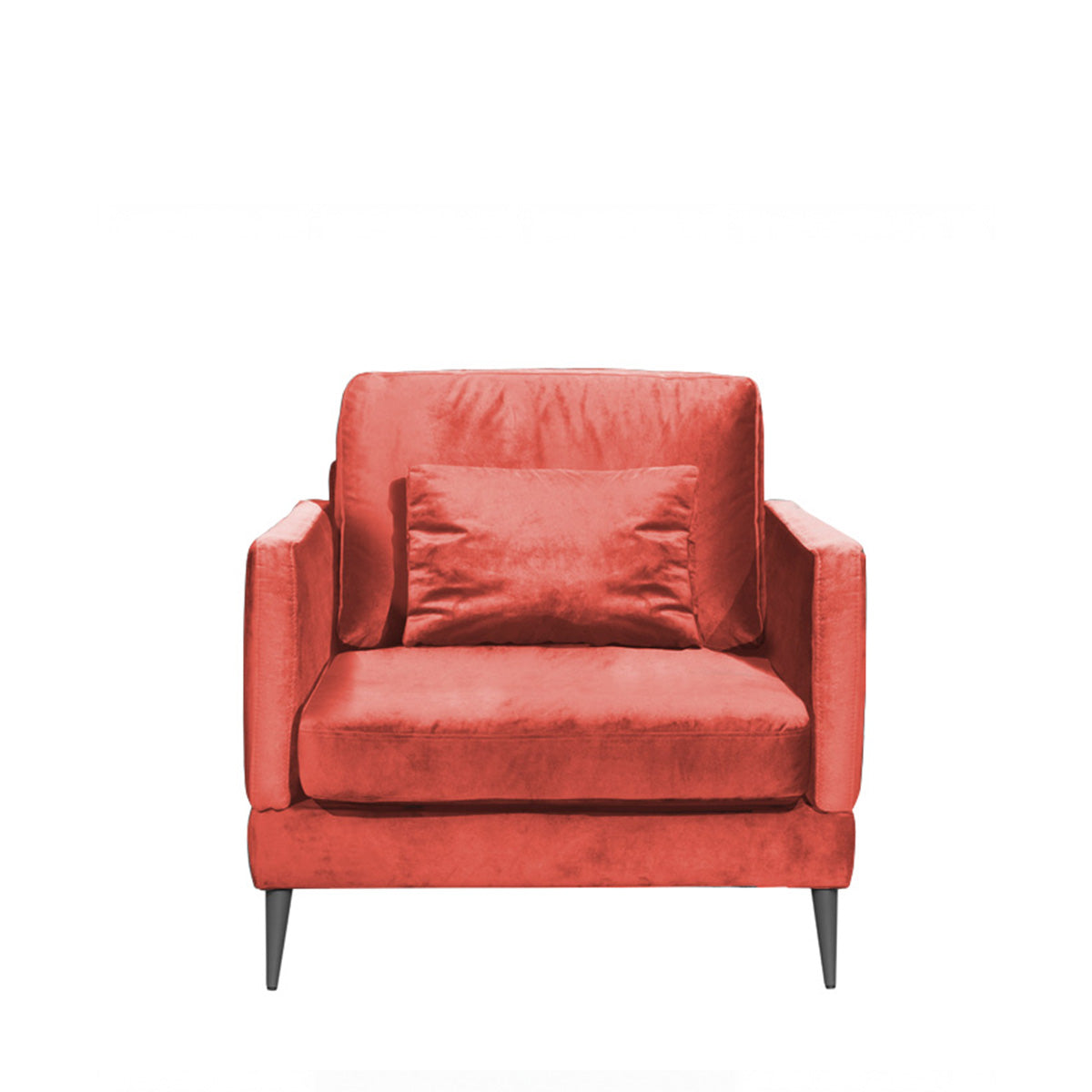 Fauteuil - Velours - SPLENDIDO