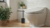 BROSSE WC RESINE NOIR LAGO