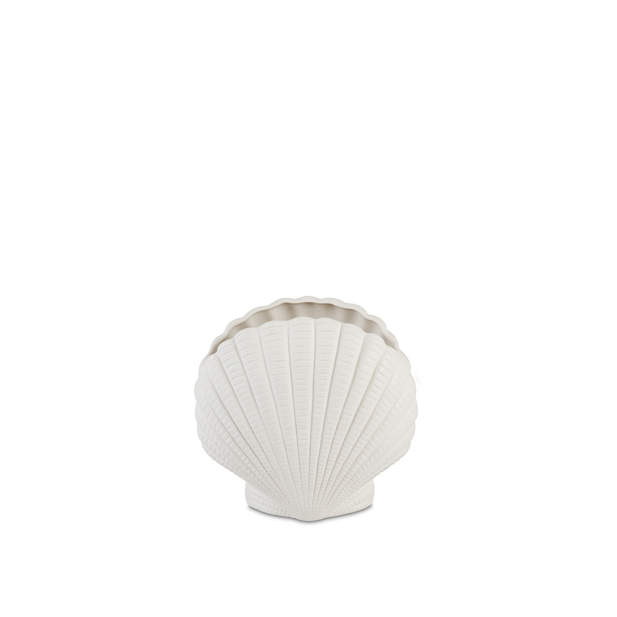 Vase coquillage - Dolomite blanche - GUSCIO - 17x9x24 cm