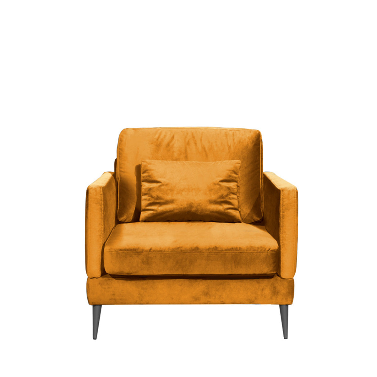 Fauteuil - Velours - SPLENDIDO