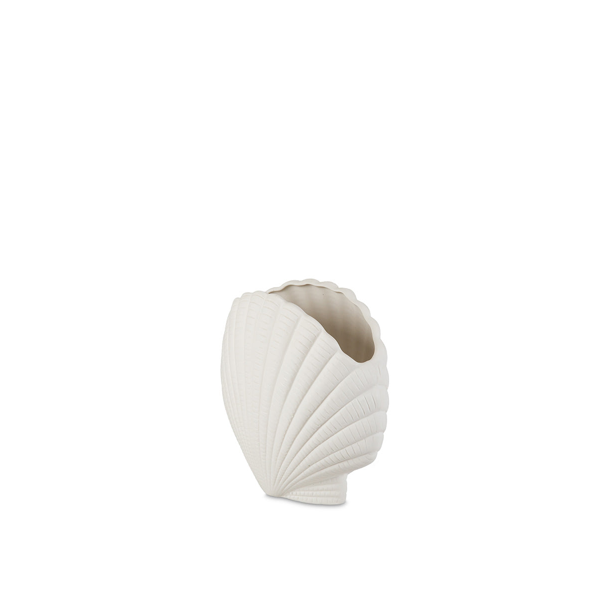 Vase coquillage - Dolomite blanche - GUSCIO - 17x9x24 cm
