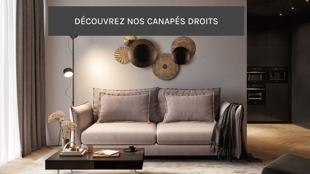 Quels modèles de canapé pour un petit salon ?