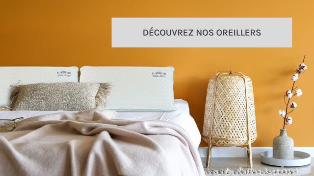 Oreiller ergonomique en duvet d'oie Oreiller en duvet d'oie améliorant le  sommeil Soutien cervical